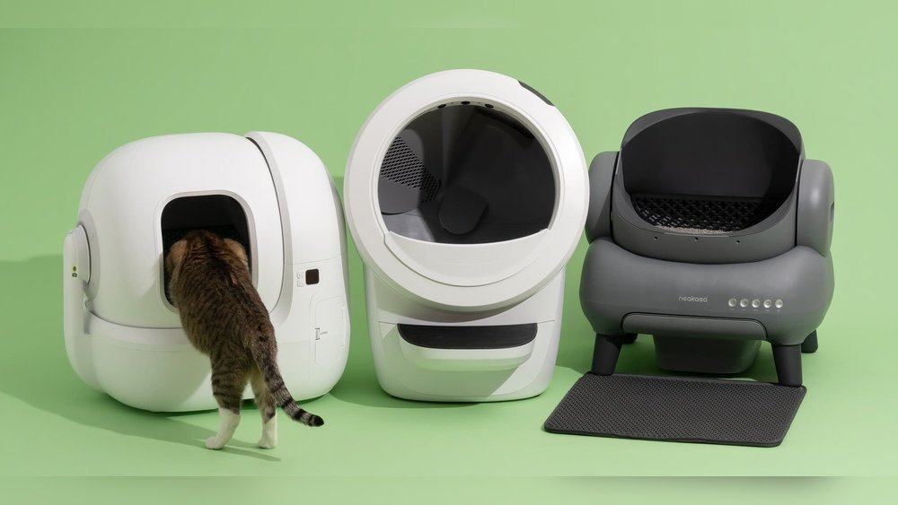 Best Automatic Litter Box