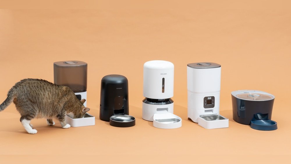 Best Automatic Pet Feeder