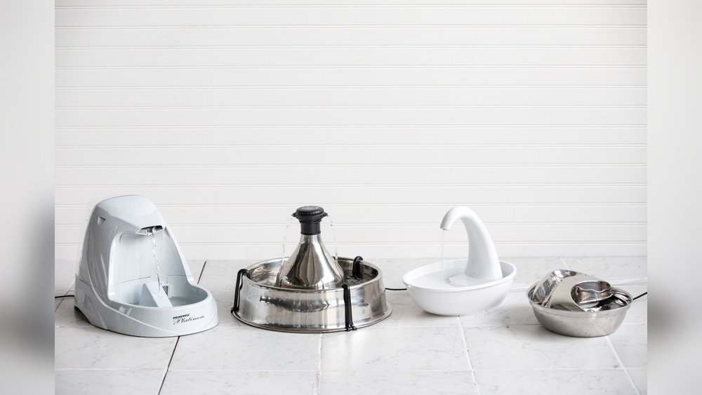 Best Automatic Water Fountain for Cats