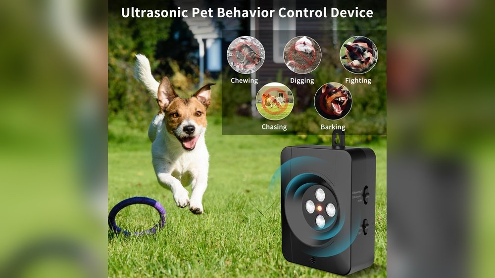 Best Bark Control Device