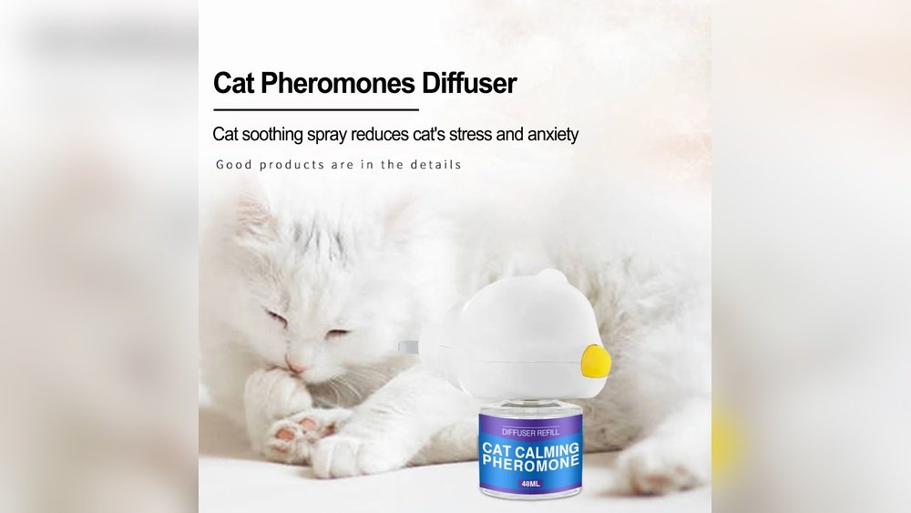 Best Cat Calming Products