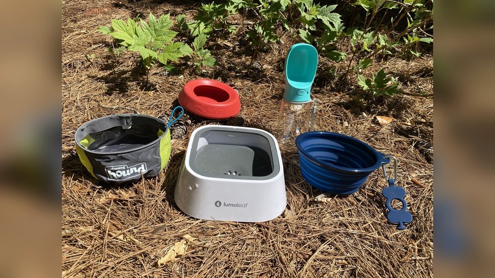 Best Collapsible Dog Bowl