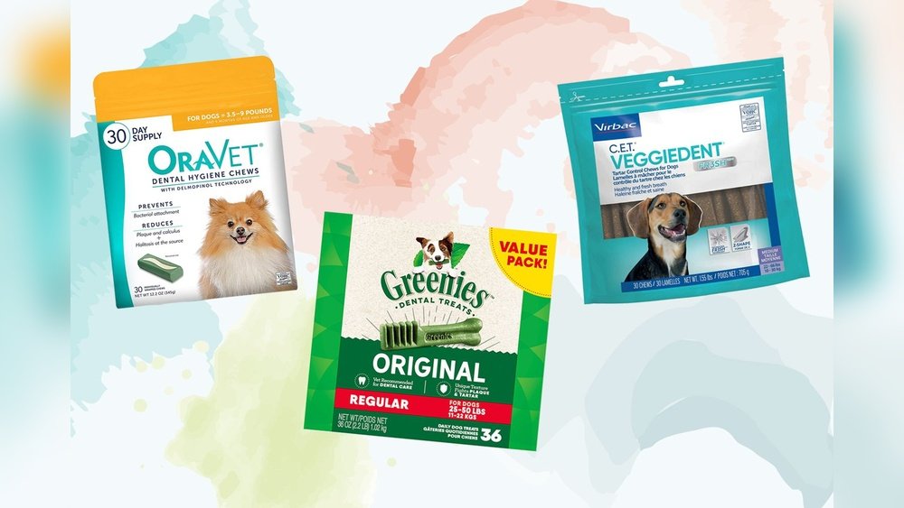 Best Dental Chews for Dogs