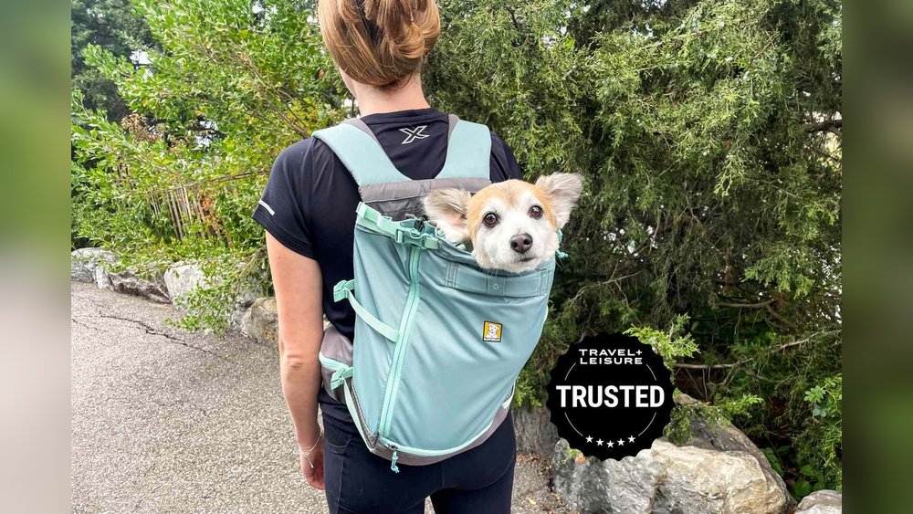 Best Dog Backpack Carrier
