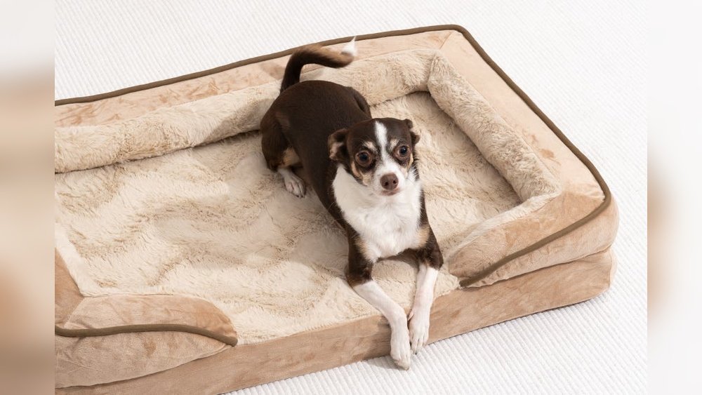 Best Dog Bed for Large Dogs