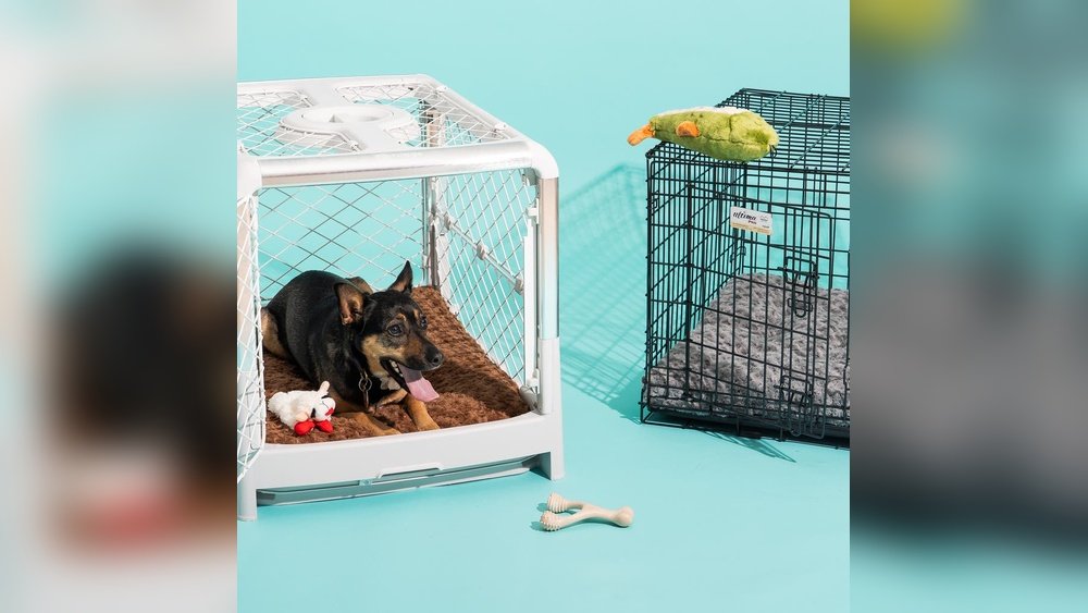 Best Dog Crate for Puppies