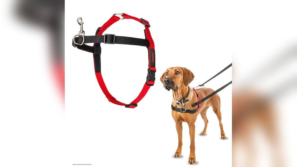 Best Dog Harness for Pulling
