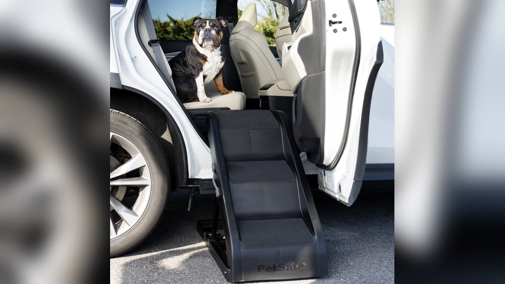 Best Dog Ramp for Car