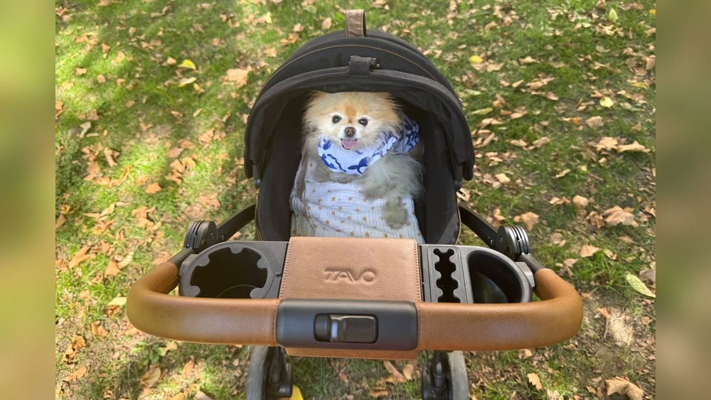 Best Dog Stroller