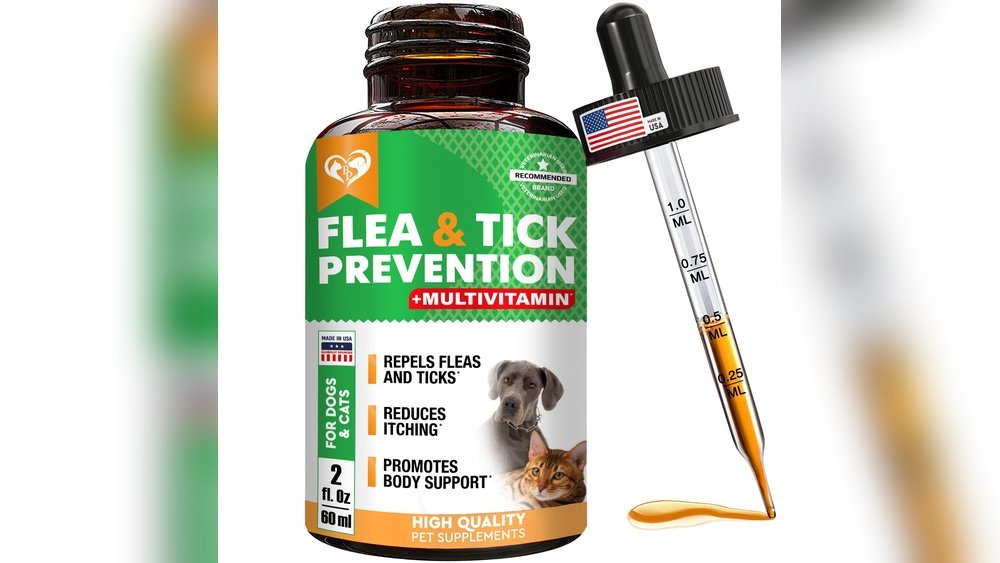 Best Flea And Tick Prevention for Dogs