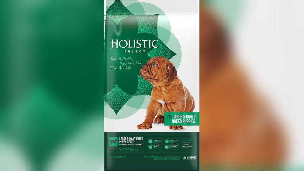 Best Puppy Food for Large Breeds