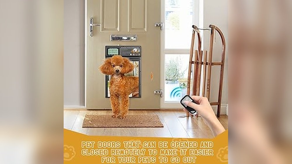 Best Smart Dog Door