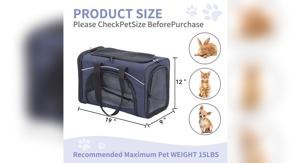 Airline Pet Carrier Requirements