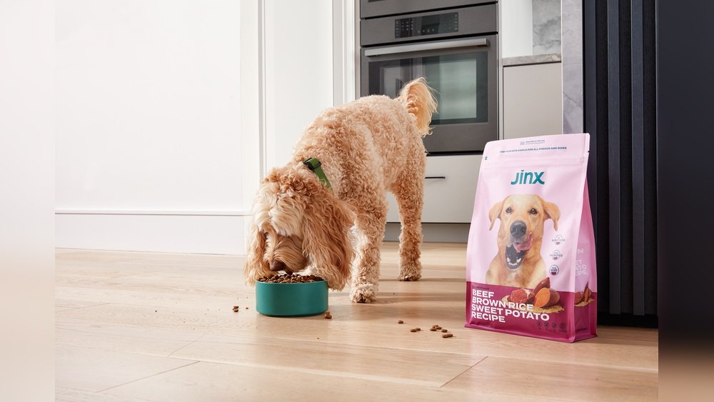 Are Probiotics Safe for Dogs