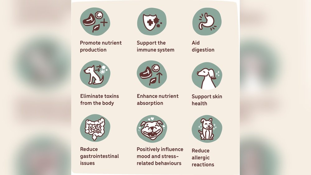 Benefits of Probiotics for Dogs