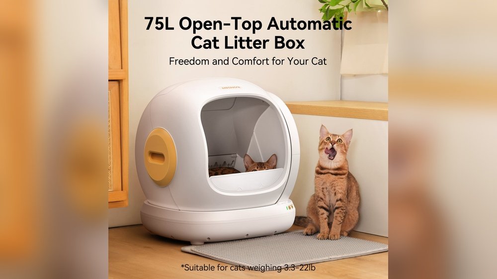 Do Cats Like Automatic Litter Boxes