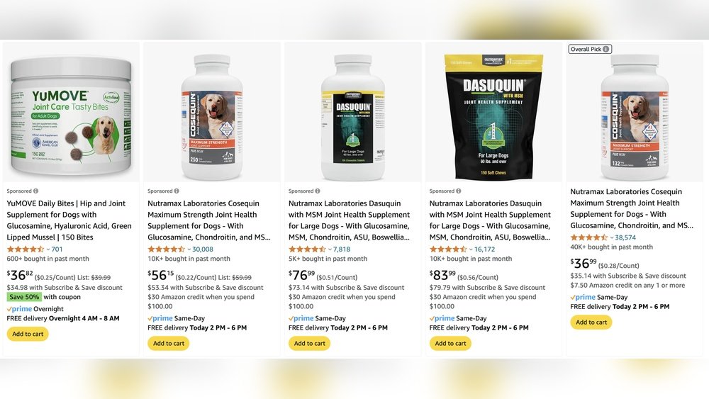 Do Joint Supplements Work for Dogs