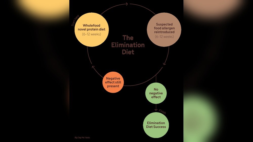 Elimination Diet for Dogs