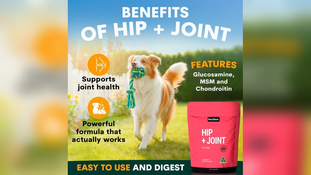 Glucosamine for Dogs Benefits