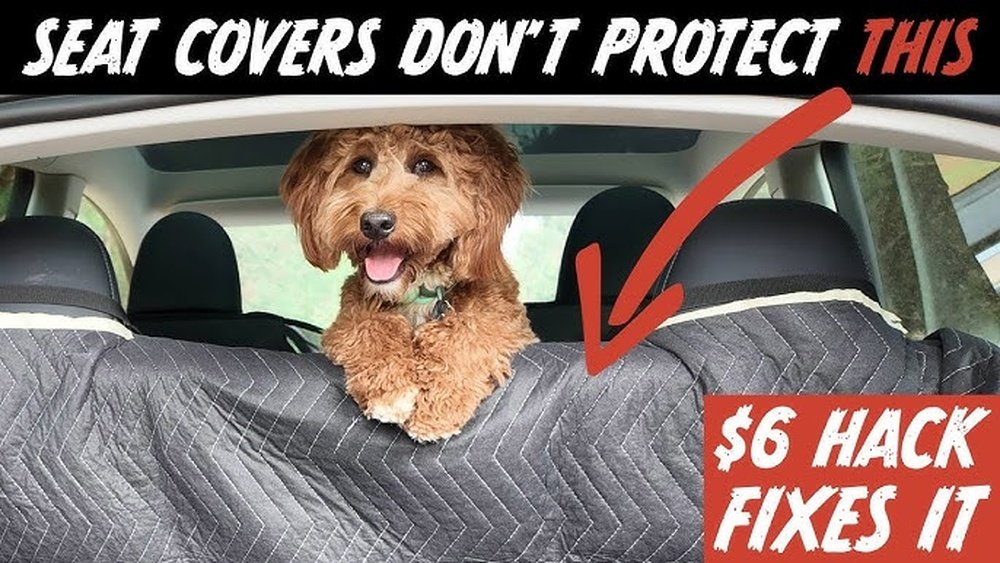How to Protect Car Seats from Dogs