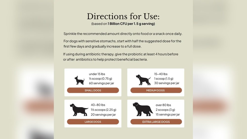Probiotics for Dogs After Antibiotics