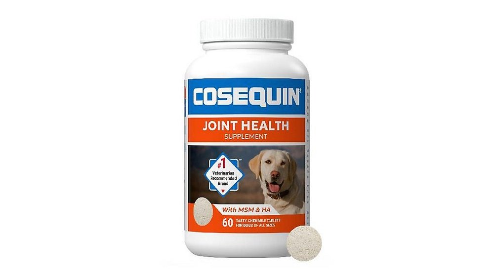 When to Start Joint Supplements for Dogs